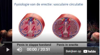 Bekijk de video Fysiologie van de erectie: vasculaire circulatie op YouTube