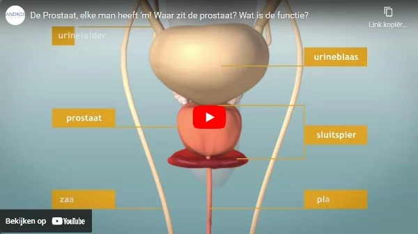 Bekijk de video De Prostaat, elke man heeft 'm op YouTube